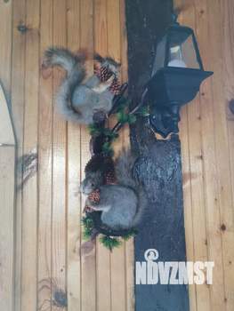 Дом 45м², 1-этажный, посуточно,