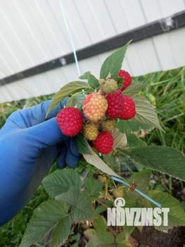 Коттедж 144м², 2-этажный, на длительный срок,