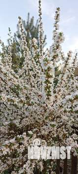 Дом 50м², 1-этажный, на длительный срок,