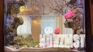 Дом 620м², 3-этажный, посуточно,