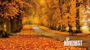 Дом 1300м², 3-этажный, посуточно,