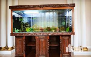 Дом 1000м², 4-этажный, посуточно,