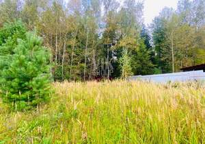 Дом 250м², 2-этажный, участок 10 сот.