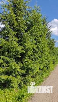 Дом 255м², 2-этажный, участок 7 сот.