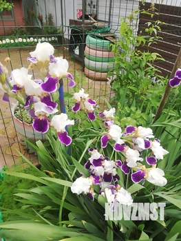 Дом 160м², 2-этажный, участок 6 сот.