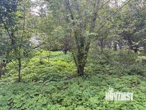 Дом 78м², 1-этажный, участок 29 сот.