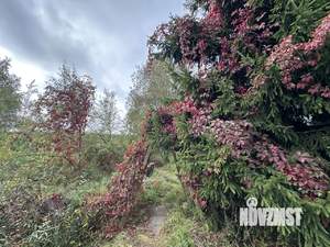 Дом 48м², 2-этажный, участок 19 сот.