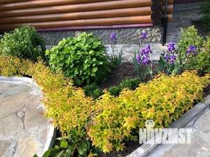 Дом 230м², 2-этажный, участок 12 сот.