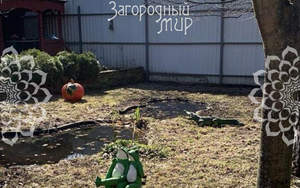 Дом 190м², 2-этажный, участок 8 сот.