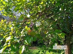 Дом 68м², 2-этажный, участок 7 сот.