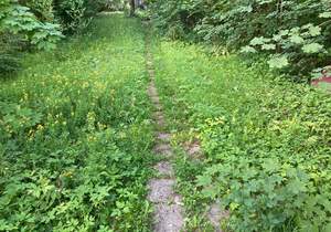 Дом 38м², 1-этажный, участок 13 сот.