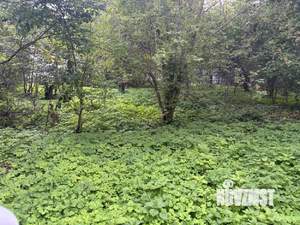 Дом 78м², 1-этажный, участок 29 сот.