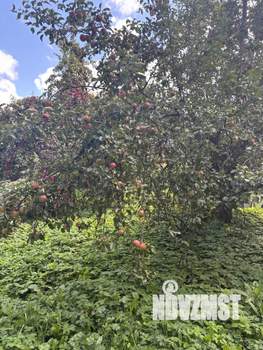 Дом 78м², 1-этажный, участок 29 сот.