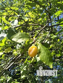 Дом 68м², 2-этажный, участок 7 сот.