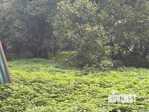 Дом 78м², 1-этажный, участок 29 сот.