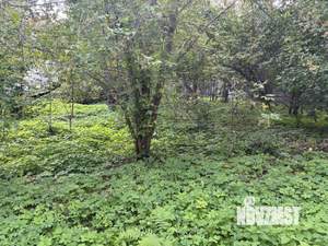 Дом 78м², 1-этажный, участок 29 сот.