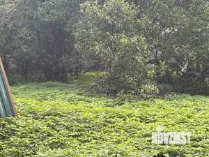 Дом 78м², 1-этажный, участок 29 сот.