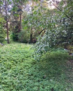 Дом 38м², 1-этажный, участок 13 сот.