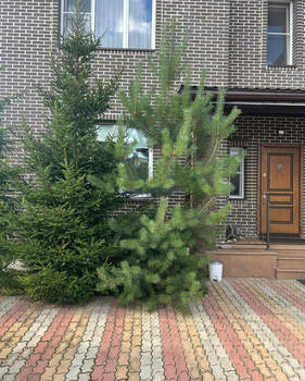 Дом 365м², 3-этажный, участок 8 сот.