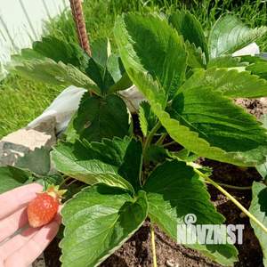 Коттедж 144м&sup2;, 2-этажный, на длительный срок, 