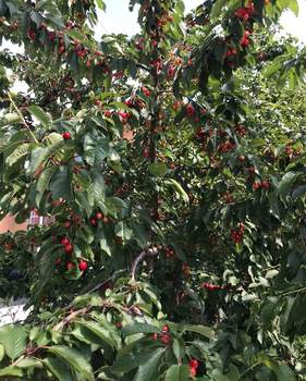 Дом 137м², 2-этажный, на длительный срок, 