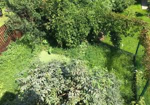 Дом 137м², 2-этажный, на длительный срок, 