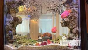 Дом 450м², 3-этажный, посуточно, 