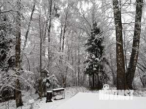 Дом 62м², 1-этажный, посуточно, 