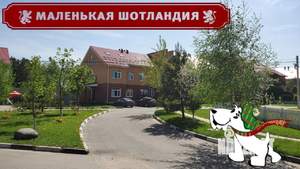 Таунхаус 195м², 3-этажный, участок 3 сот.  