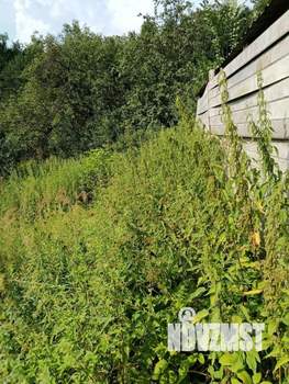 Дом 40м², 2-этажный, участок 7 сот.  