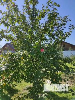 Дом 50м&sup2;, 1-этажный, участок 15 сот.  