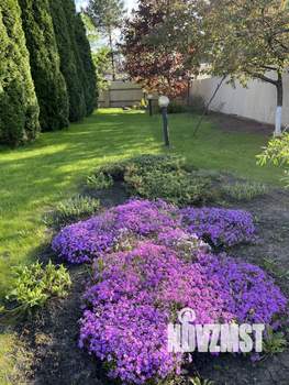 Дом 354м&sup2;, 2-этажный, участок 12 сот.  