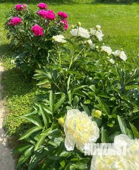 Дом 163м&sup2;, 2-этажный, участок 12 сот.  