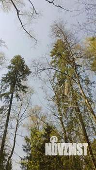 Дом 135м², 1-этажный, участок 8 сот.  