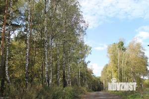 Дом 150м², 1-этажный, участок 7 сот.  