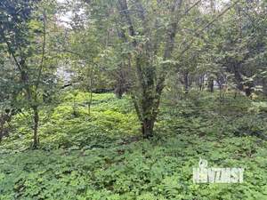 Дом 78м², 1-этажный, участок 29 сот.  