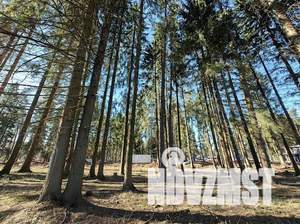 Дом 160м², 2-этажный, участок 6 сот.  