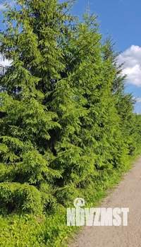 Дом 255м², 2-этажный, участок 7 сот.  