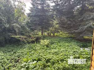 Дом 78м², 1-этажный, участок 29 сот.  