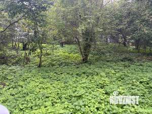 Дом 78м², 1-этажный, участок 29 сот.  