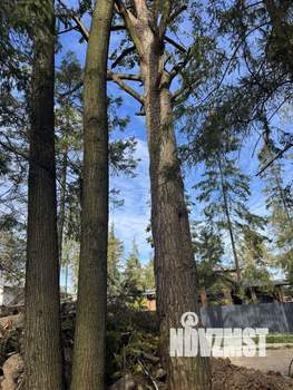 Дом 270м², 2-этажный, участок 9 сот.  