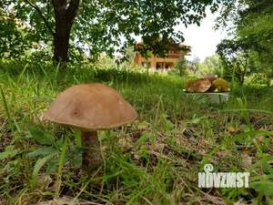 Коттедж 250м², 2-этажный, участок 30 сот.  