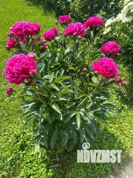 Дом 163м&sup2;, 2-этажный, участок 12 сот.  