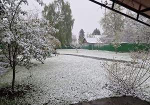 Дом 110м², 2-этажный, участок 16 сот.  