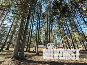 Дом 160м², 2-этажный, участок 6 сот.  