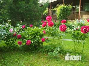 Дом 158м², 2-этажный, участок 20 сот.  