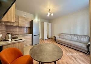 Студия квартира, на длительный срок, 25м2, 14/17 этаж