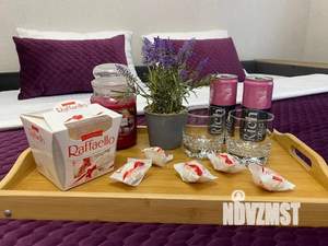 1-к квартира, посуточно, 26м2, 5/17 этаж