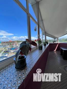 1-к квартира, посуточно, 50м2, 3/3 этаж