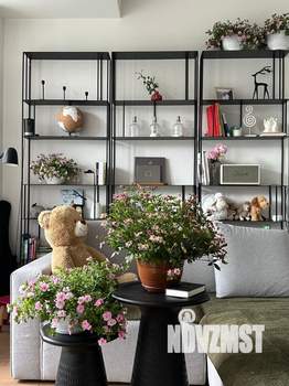 Студия квартира, на длительный срок, 57м2, 2/8 этаж